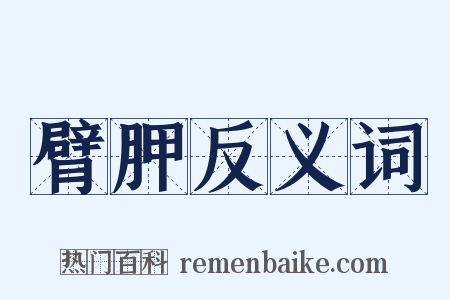 臂胛反义词是什么意思的图片